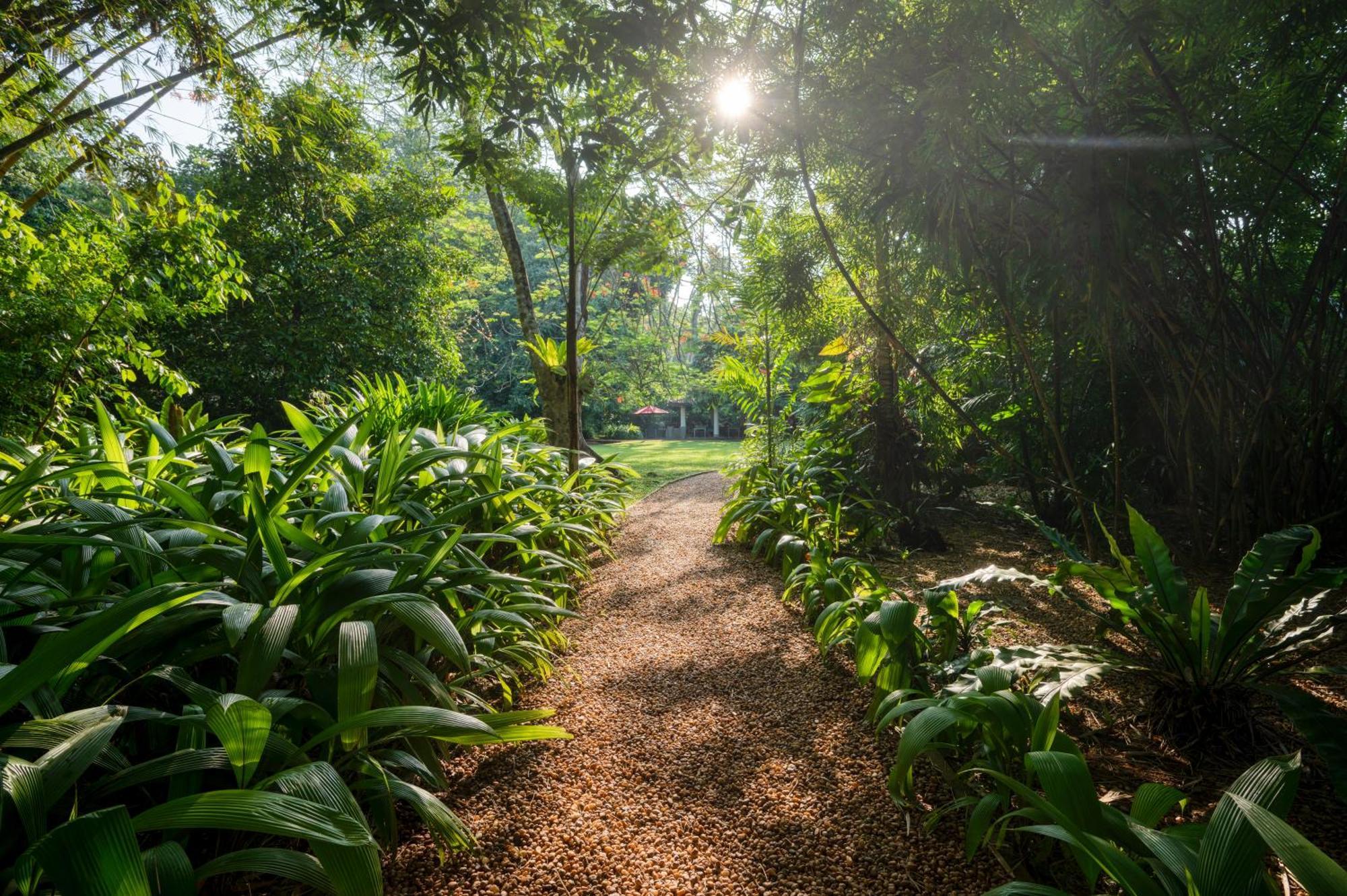 Wallawwa Katunayaka Exterior foto